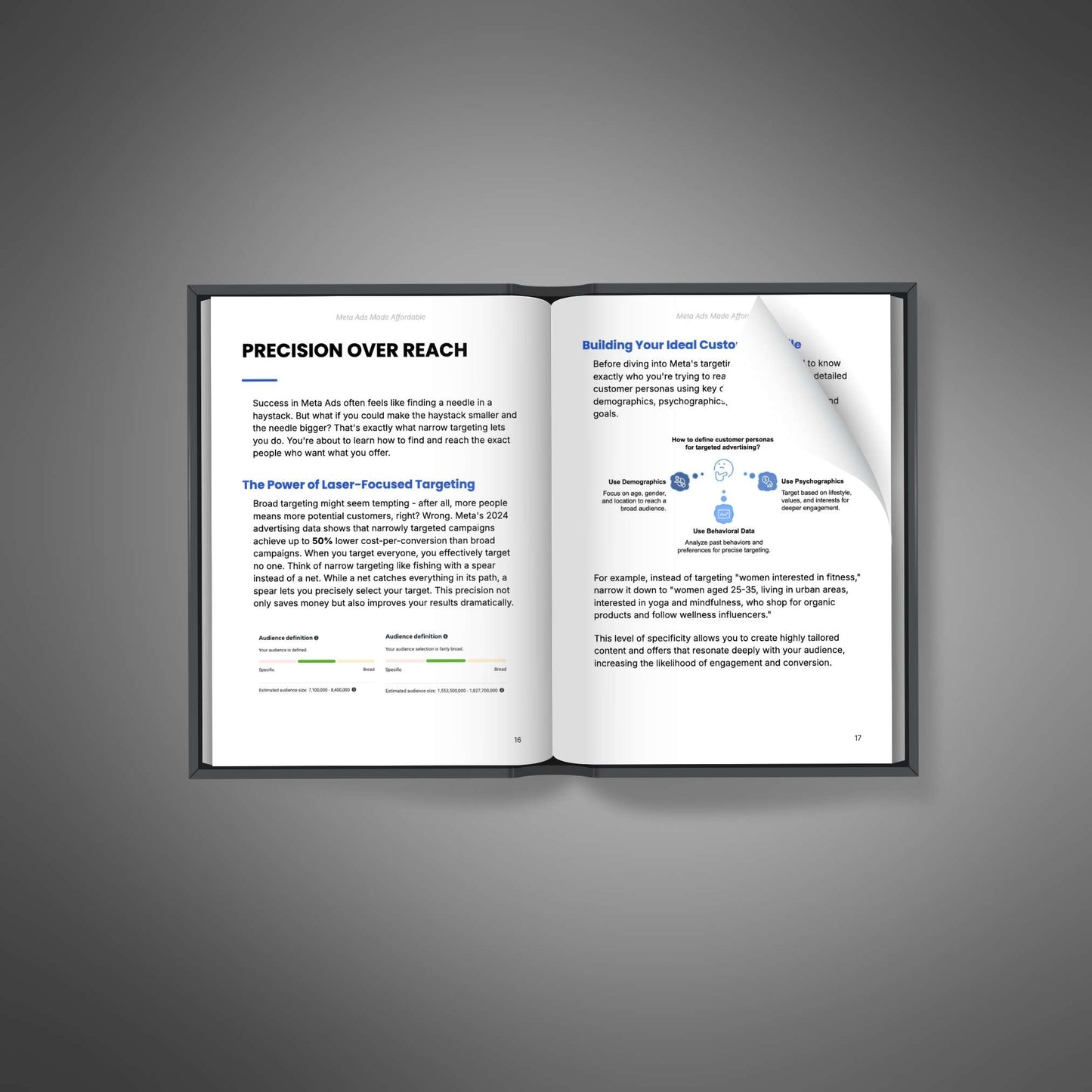 Meta Ads made affordable - Ebook