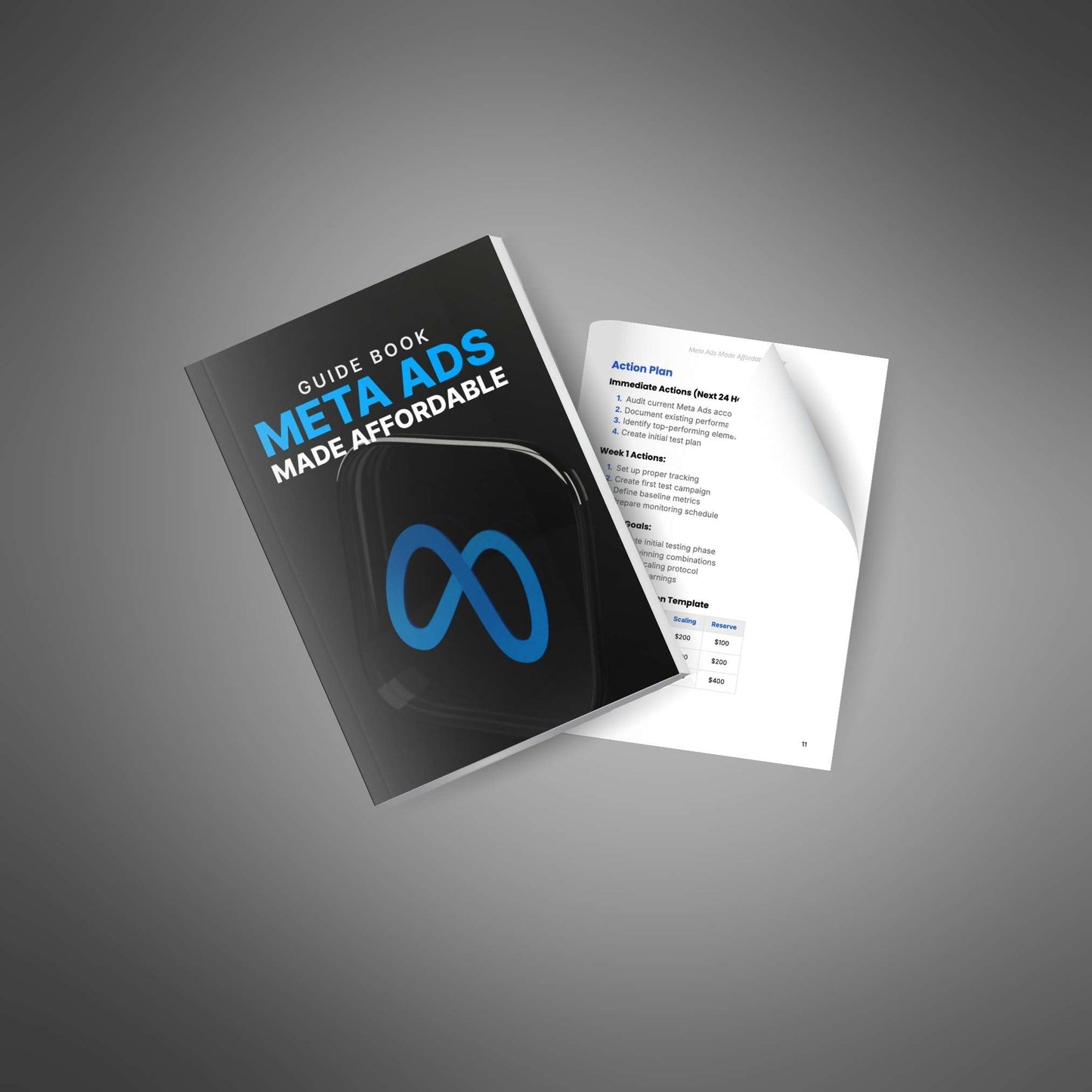 Meta Ads made affordable - Guide